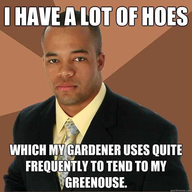 I have a lot of hoes which my gardener uses quite frequently to tend to my greenouse.  Successful Black Man