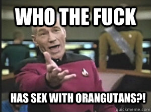 Who the fuck has sex with orangutans?!  Annoyed Picard