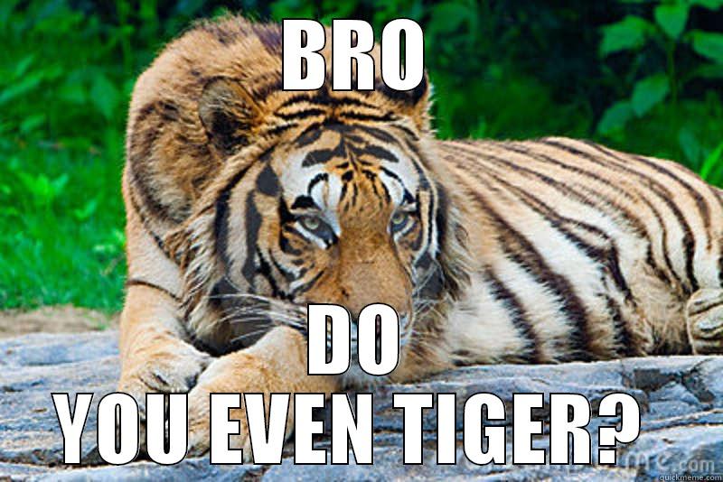 Breh  - BRO DO YOU EVEN TIGER?  Misc