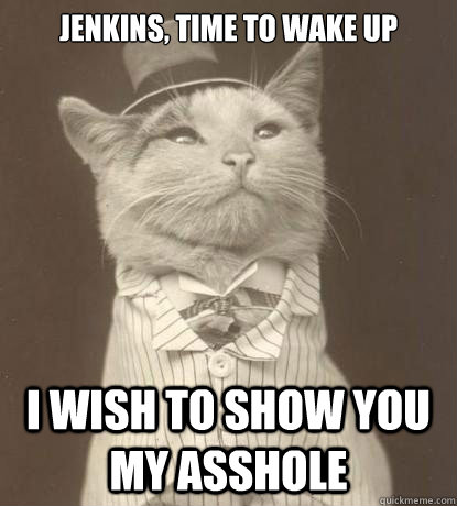 Jenkins, time to wake up I wish to show you my asshole  Aristocat