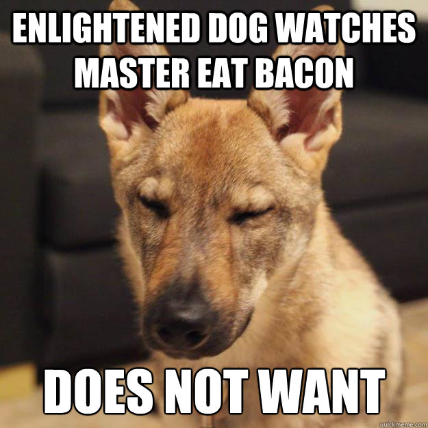 enlightened dog watches master eat bacon does not want - enlightened dog watches master eat bacon does not want  Proverb Puppy