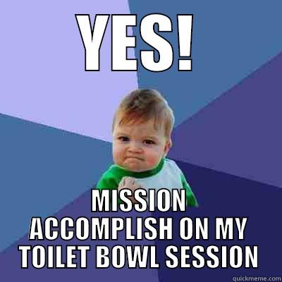 YES! MISSION ACCOMPLISH ON MY TOILET BOWL SESSION Success Kid