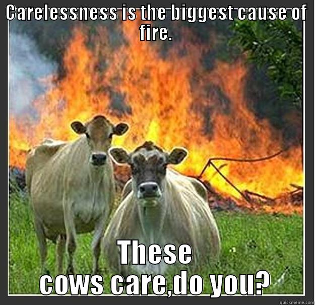 CARELESSNESS IS THE BIGGEST CAUSE OF FIRE. THESE COWS CARE,DO YOU? Evil cows