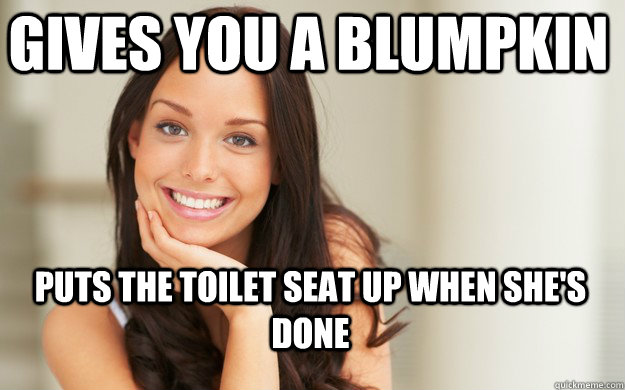 Gives You A Blumpkin Puts The Toilet Seat Up When Shes Done Good Girl Gina Quickmeme