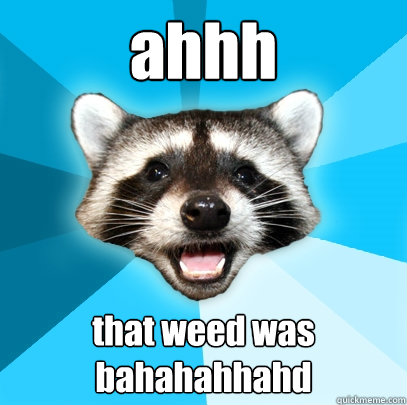 ahhh that weed was bahahahhahd  Lame Pun Coon