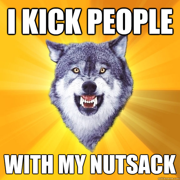 i kick people with my nutsack  Courage Wolf