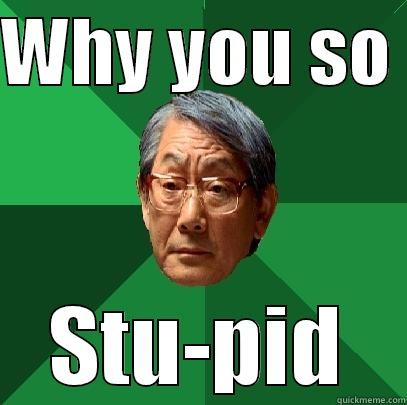 WHY YOU SO  STU-PID High Expectations Asian Father