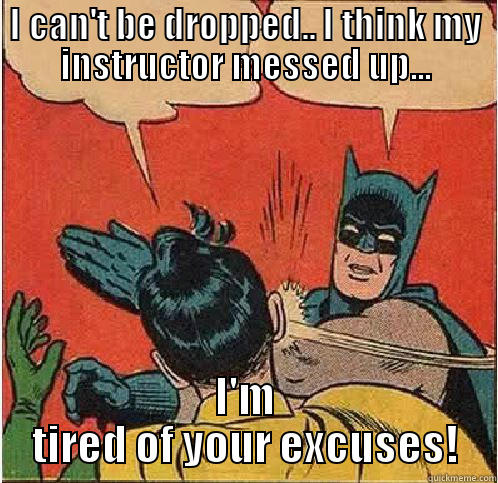 I CAN'T BE DROPPED.. I THINK MY INSTRUCTOR MESSED UP... I'M TIRED OF YOUR EXCUSES! Batman Slapping Robin