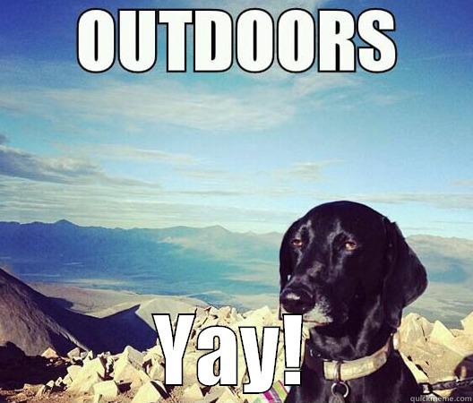 Outdoors... YAY! -  YAY! Misc