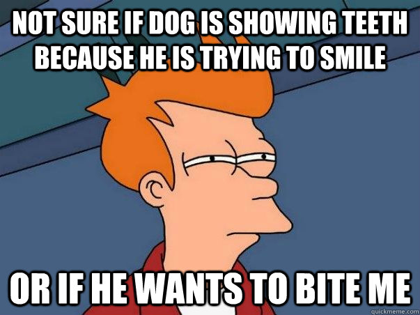Not sure if dog is showing teeth because he is trying to smile or if he wants to bite me - Not sure if dog is showing teeth because he is trying to smile or if he wants to bite me  Not sure if deaf