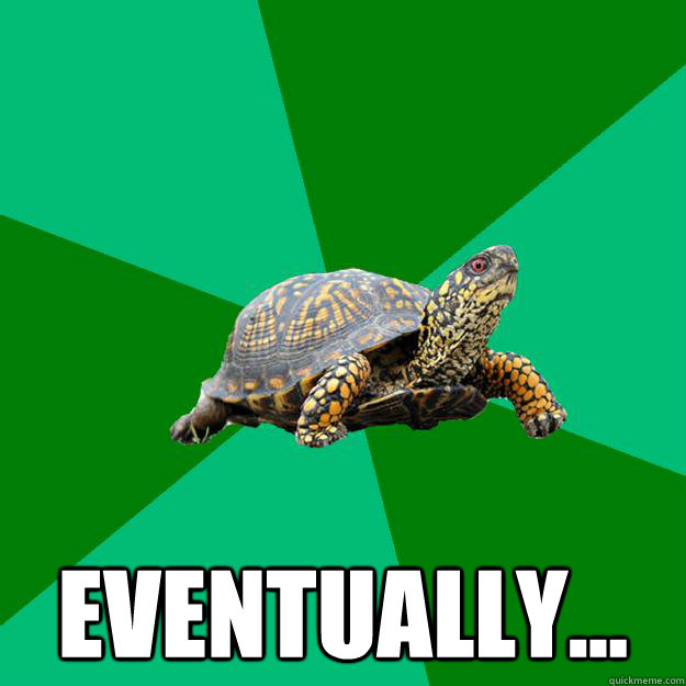  eventually...  Torrenting Turtle