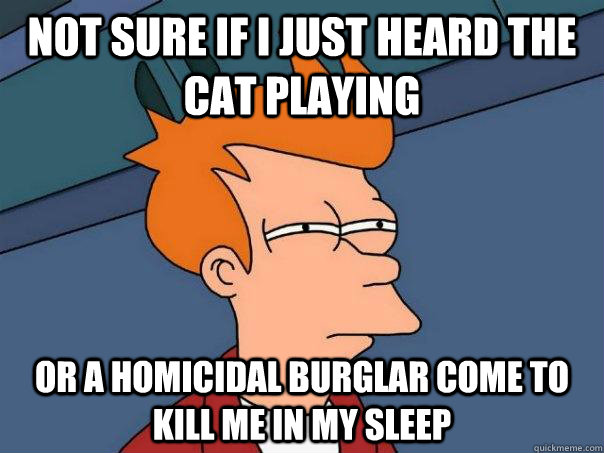 Not sure if I just heard the cat playing Or a homicidal burglar come to kill me in my sleep  Futurama Fry