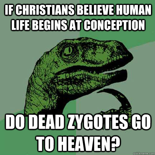 If Christians believe human life begins at conception Do dead zygotes go to heaven?  Philosoraptor