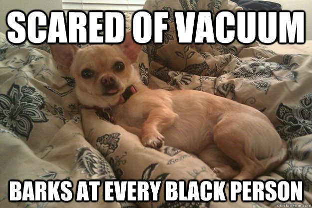 Scared of Vacuum Barks at every black person - Scared of Vacuum Barks at every black person  Misc