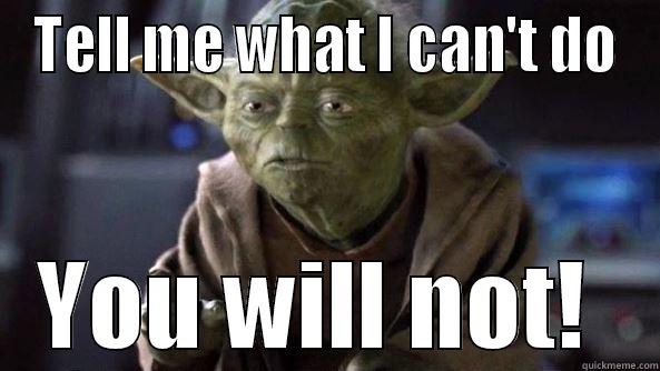 TELL ME WHAT I CAN'T DO YOU WILL NOT!  True dat, Yoda.