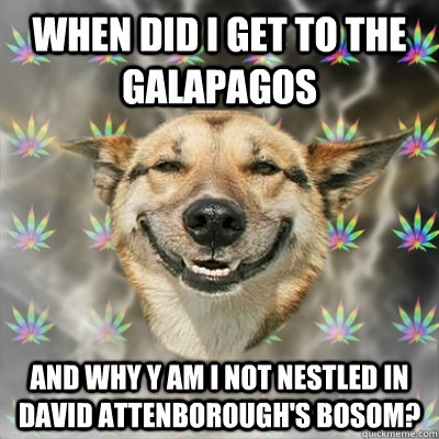 when did i get to the galapagos and why y am i not nestled in david attenborough's bosom?  Stoner Dog