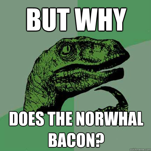 But WHY Does the norwhal bacon? - But WHY Does the norwhal bacon?  Philosoraptor