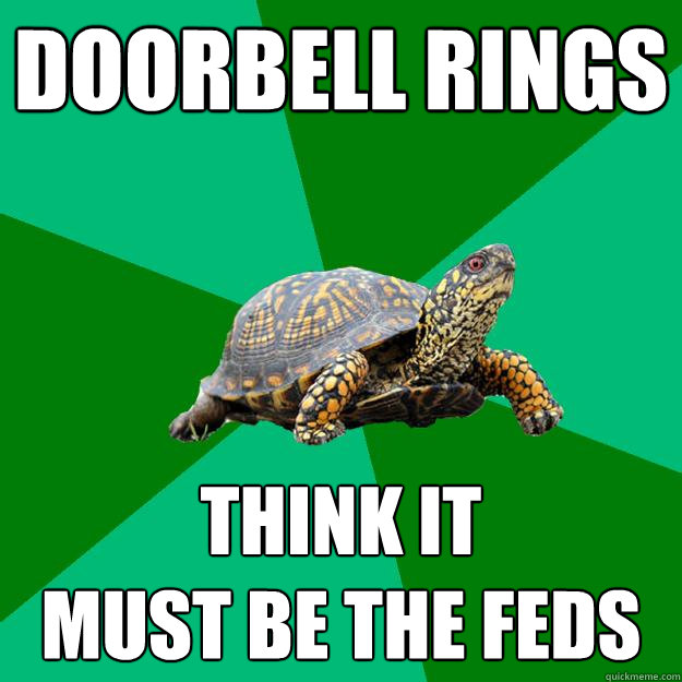 doorbell rings think it must be the feds Torrenting Turtle quickmeme
