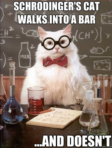 Schrodinger's Cat walks into a bar ...and doesn't  Chemistry Cat