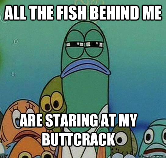 all the fish behind me are staring at my buttcrack - all the fish behind me are staring at my buttcrack  Serious fish SpongeBob