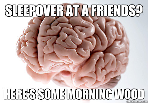 Sleepover at a friends? here's some morning wood   Scumbag Brain