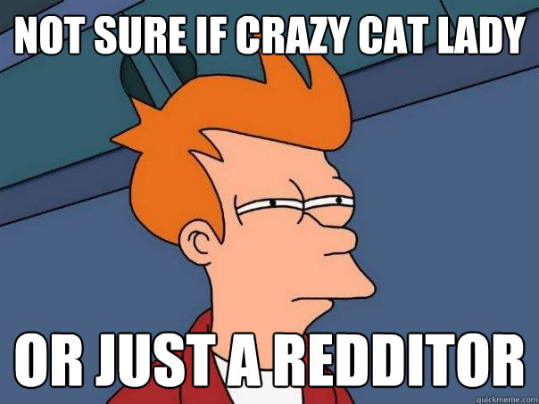 Not sure if crazy cat lady Or just a Redditor  Futurama Fry