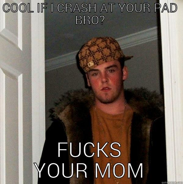 COOL IF I CRASH AT YOUR PAD BRO? FUCKS YOUR MOM Scumbag Steve