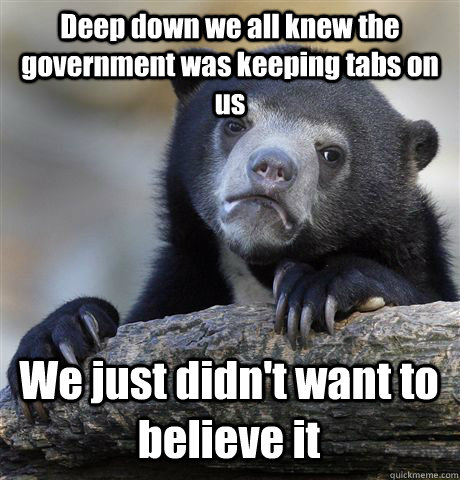 Deep down we all knew the government was keeping tabs on us We just didn't want to believe it  Confession Bear