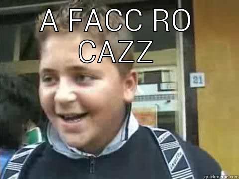 A Facc Ro Cazz - A FACC RO CAZZ  Misc