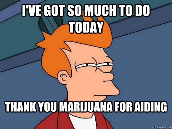 I've got so much to do today Thank you marijuana for aiding  Futurama Fry