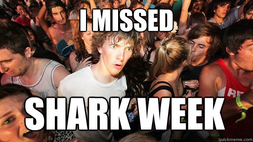 i missed shark week  Sudden Clarity Clarence