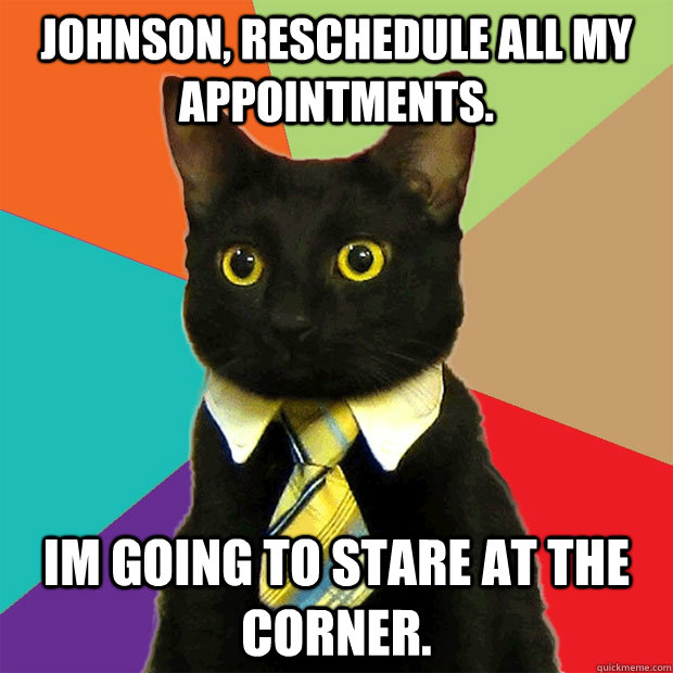 Johnson, reschedule all my appointments. im going to stare at the corner.   Business Cat