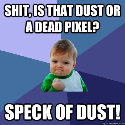 Shit, is that dust or a dead pixel? speck of dust! - Shit, is that dust or a dead pixel? speck of dust!  Success Kid