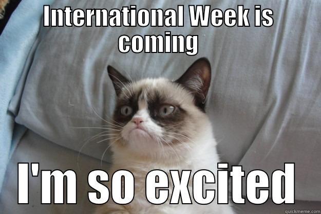 INTERNATIONAL WEEK IS COMING I'M SO EXCITED Grumpy Cat