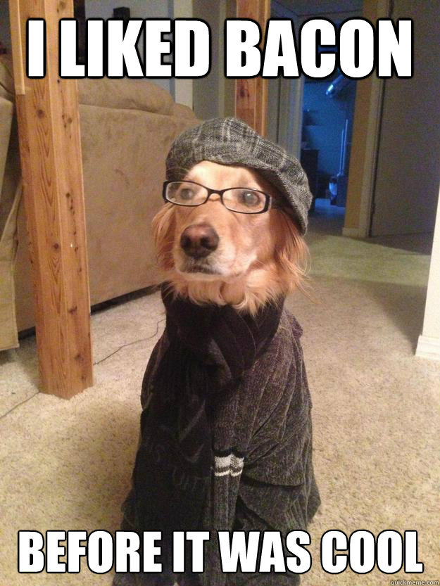 I liked bacon before it was cool  Hipster Dog