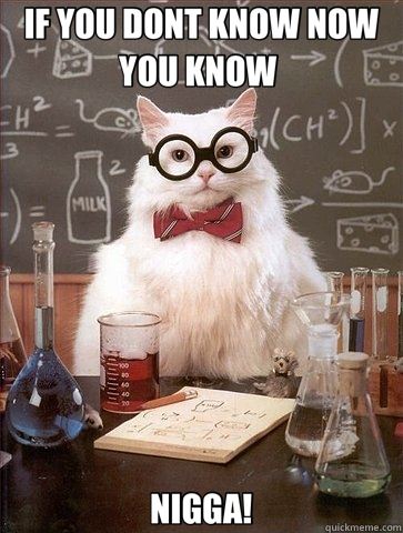 IF YOU DONT KNOW NOW YOU KNOW  NIGGA!  Chemistry Cat