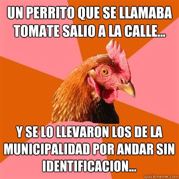 UN PERRITO QUE SE LLAMABA TOMATE SALIO A LA CALLE... Y SE LO LLEVARON LOS DE LA MUNICIPALIDAD POR ANDAR SIN IDENTIFICACION...  Anti-Joke Chicken