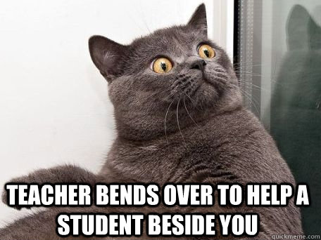 Teacher Bends over to help a student beside you  conspiracy cat