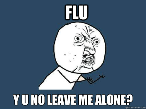 FLU y u no leave me alone?  Y U No