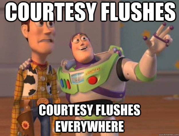 Courtesy Flushes Courtesy Flushes Everywhere  Buzz Lightyear