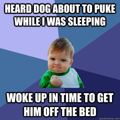 Heard dog about to puke while i was sleeping woke up in time to get him off the bed  Success Kid