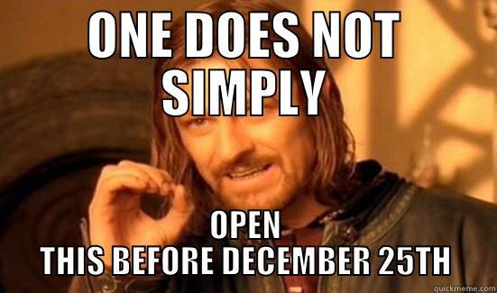 ONE DOES NOT SIMPLY OPEN THIS BEFORE DECEMBER 25TH Boromir