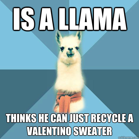 is a llama thinks he can just recycle a valentino sweater   Linguist Llama