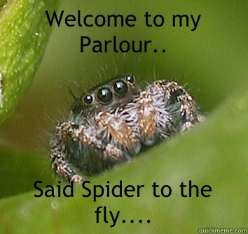 Welcome to my Parlour.. Said Spider to the fly....  Misunderstood Spider