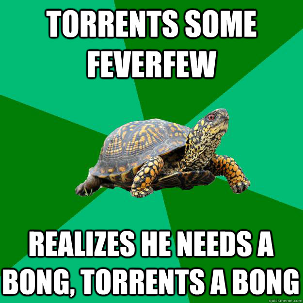 torrents some feverfew realizes he needs a bong, torrents a bong  Torrenting Turtle