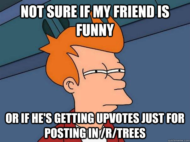 not sure if my friend is funny or if he's getting upvotes just for posting in /r/trees  Futurama Fry