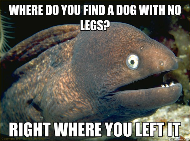 Where do you find a dog with no legs? right where you left it  Bad Joke Eel