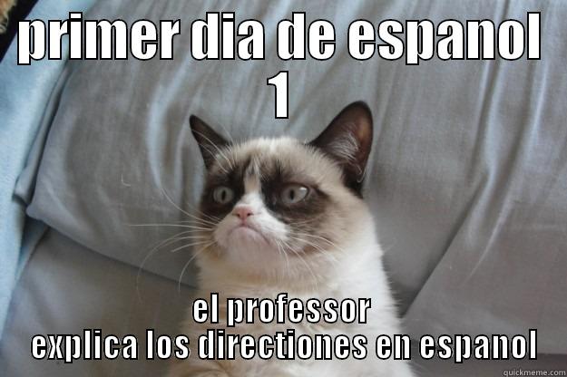 PRIMER DIA DE ESPANOL 1 EL PROFESSOR  EXPLICA LOS DIRECTIONES EN ESPANOL Grumpy Cat