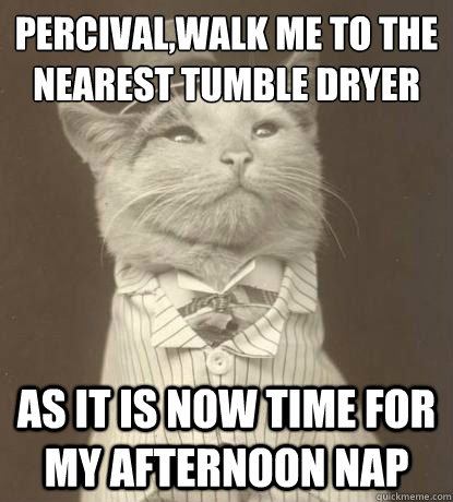 Percival,walk me to the nearest tumble dryer As it is now time for my afternoon nap  Aristocat