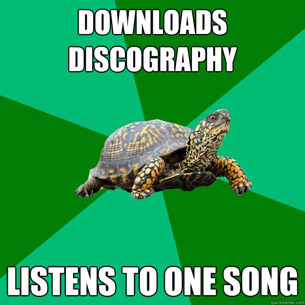 downloads discography listens to one song  Torrenting Turtle